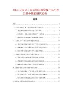 2025及未來5年中國電煅燒煤市場分析及競爭策略研究報(bào)告