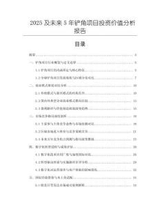 2025及未來(lái)5年鏟角項(xiàng)目投資價(jià)值分析報(bào)告