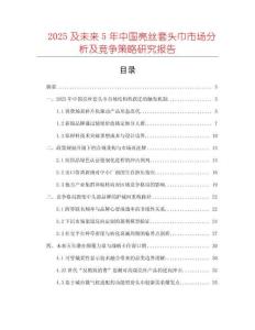 2025及未來5年中國亮絲套頭巾市場分析及競爭策略研究報告