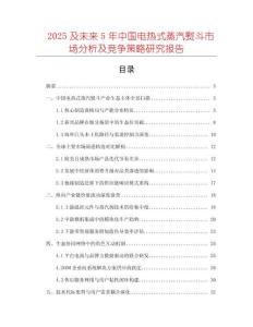 2025及未來5年中國電熱式蒸汽熨斗市場分析及競爭策略研究報告