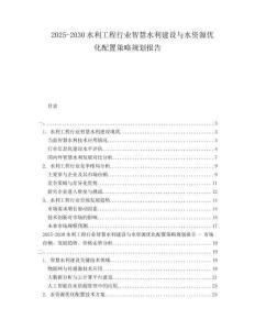 2025-2030水利工程行業智慧水利建設與水資源優化配置策略規劃報告