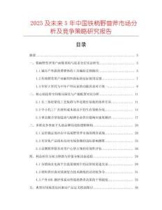 2025及未來5年中國鐵柄野營斧市場(chǎng)分析及競爭策略研究報(bào)告