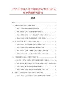 2025及未來5年中國照排片市場分析及競爭策略研究報告