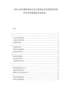 2025-2030數(shù)控機(jī)床行業(yè)當(dāng)前狀態(tài)分析需求研究供應(yīng)評估發(fā)展規(guī)劃引進(jìn)咨詢