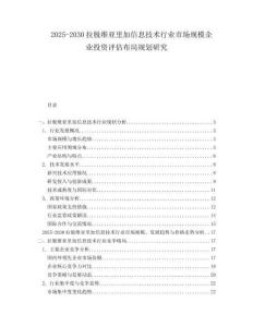 2025-2030拉脫維亞里加信息技術(shù)行業(yè)市場規(guī)模企業(yè)投資評估布局規(guī)劃研究