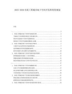2025-2030市政工程城市地下空間開發(fā)和利用規(guī)劃