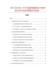 2025及未來5年中國直柄塑料放大鏡市場分析及競爭策略研究報告