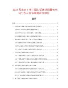 2025及未來5年中國打漿連續測量儀市場分析及競爭策略研究報告