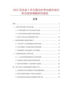 2025及未來(lái)5年中國(guó)光纖帶光纜市場(chǎng)分析及競(jìng)爭(zhēng)策略研究報(bào)告