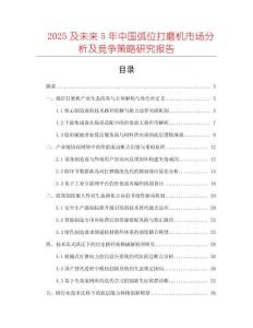 2025及未來(lái)5年中國(guó)弧位打磨機(jī)市場(chǎng)分析及競(jìng)爭(zhēng)策略研究報(bào)告