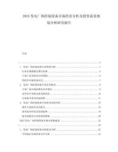 2025發電廠熱控制設備市場供需分析及投資前景規劃分析研究報告