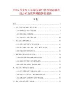 2025及未来5年中国单灯补偿电容器市场分析及竞争策略研究报告
