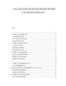 2025-2030絲綢絲綢絲綢絲綢絲綢絲綢絲綢絲綢輕工業市場發展評估規劃分析