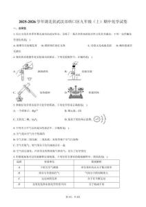 2025-2026學年湖北省武漢市硚口區九年級（上）期中化學試卷（含答案）