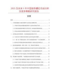 2025及未來5年中國鏈條螺拉市場分析及競爭策略研究報告
