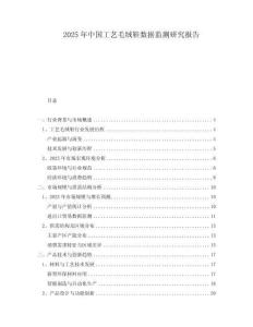 2025年中國工藝毛絨鞋數(shù)據(jù)監(jiān)測研究報告