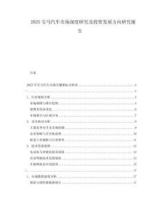 2025寶馬汽車(chē)市場(chǎng)深度研究及投資發(fā)展方向研究報(bào)告
