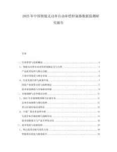 2025年中國(guó)智能無(wú)功率自動(dòng)補(bǔ)償控制器數(shù)據(jù)監(jiān)測(cè)研究報(bào)告