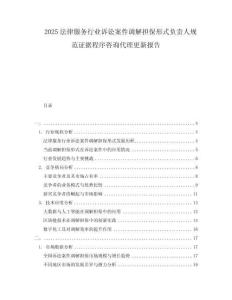 2025法律服務行業訴訟案件調解擔保形式負責人規范證據程序咨詢代理更新報告