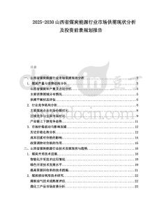2025-2030山西省煤炭能源行業(yè)市場供需現(xiàn)狀分析及投資前景規(guī)劃報告