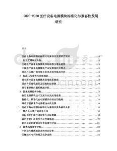 2025-2030醫療設備電源模塊標準化與兼容性發展研究
