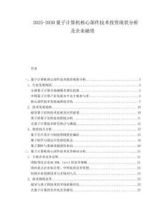 2025-2030量子計算機核心部件技術投資現狀分析及企業融資