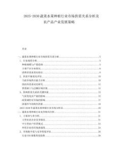 2025-2030蔬菜水果種植行業(yè)市場(chǎng)供需關(guān)系分析及農(nóng)產(chǎn)品產(chǎn)業(yè)發(fā)展策略