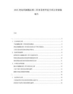 2025奧地利鋼鐵結(jié)構(gòu)工程專業(yè)標準提升研討會檢驗報告