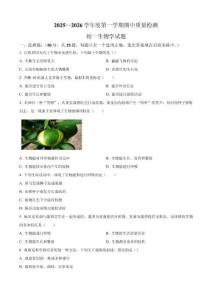 山東省淄博市臨淄區(qū)2025-2026學(xué)年六年級(jí)上學(xué)期期中生物學(xué)試題（含答案）