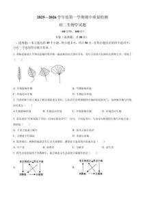 山東省煙臺(tái)市牟平區(qū)（五四制）2025-2026學(xué)年七年級(jí)上學(xué)期期中生物試題（含答案）