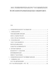 2025圣弗朗西斯科依布洛沙坦產業市場現狀供需形勢分析及投資評估規劃發展前景深入規劃研究報告