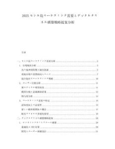 2025セシル島マーケティング需要とデジタルチャネル構築戦略提案分析