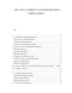 2025-2030云計(jì)算服務(wù)中小企業(yè)滲透率提升趨勢與市場機(jī)會分析報(bào)告