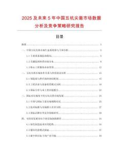 2025及未來(lái)5年中國(guó)五坑尖鑿市場(chǎng)數(shù)據(jù)分析及競(jìng)爭(zhēng)策略研究報(bào)告