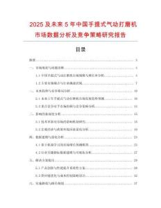 2025及未來5年中國手提式氣動打磨機(jī)市場數(shù)據(jù)分析及競爭策略研究報告