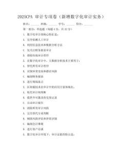 2025CPA審計專項卷（新增數字化審計實務）