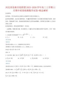 河北省滄衡名校聯(lián)盟2025-2026學(xué)年高三上學(xué)期11月期中質(zhì)量檢測數(shù)學(xué)試卷（解析版）