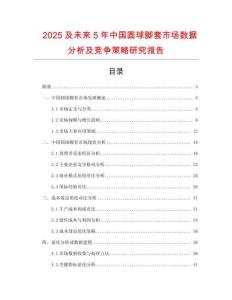 2025及未來5年中國(guó)圓球腳套市場(chǎng)數(shù)據(jù)分析及競(jìng)爭(zhēng)策略研究報(bào)告