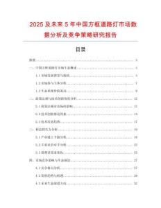 2025及未來5年中國方框道路燈市場數(shù)據(jù)分析及競爭策略研究報告