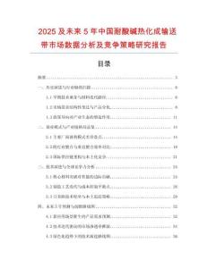 2025及未來5年中國耐酸堿熱化成輸送帶市場數據分析及競爭策略研究報告