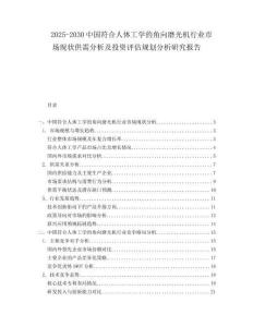 2025-2030中國符合人體工學(xué)的角向磨光機(jī)行業(yè)市場(chǎng)現(xiàn)狀供需分析及投資評(píng)估規(guī)劃分析研究報(bào)告