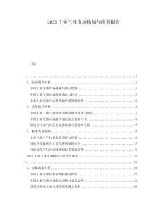 2025工業(yè)氣體市場(chǎng)格局與前景報(bào)告