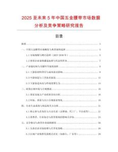 2025至未來5年中國五金腰帶市場數據分析及競爭策略研究報告