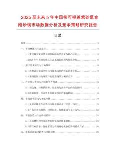 2025至未來5年中國帶可視蓋紫砂黑金剛炒鍋市場數(shù)據(jù)分析及競爭策略研究報告