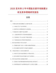 2025至未來(lái)5年中國(guó)臟衣袋市場(chǎng)數(shù)據(jù)分析及競(jìng)爭(zhēng)策略研究報(bào)告