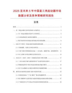 2025至未來5年中國星三角起動器市場數據分析及競爭策略研究報告