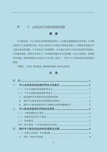 公司法对中小股东的保护机制