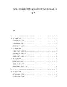 2025中國儲(chǔ)能系統(tǒng)集成商市場定位與盈利能力分析報(bào)告