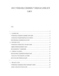 2025中國商業(yè)航天發(fā)射服務(wù)產(chǎn)業(yè)鏈布局與國際競爭力報告