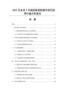 2025及未來5年超細單搖粒絨布項目投資價值分析報告